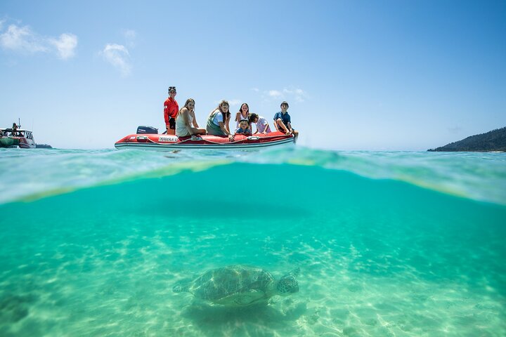 Whitehaven Beach and Hill Inlet Lookout Snorkeling Cruise
