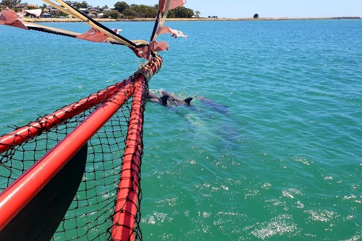The Pirate Cruise in Mandurah