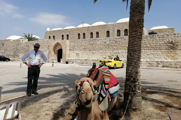 Bethlehem, Jericho, Hisham palace and Qumran Full Day Private Tour