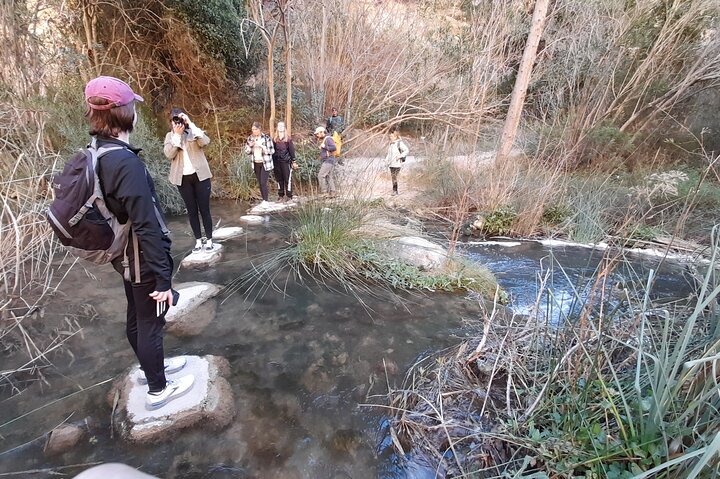 Chulilla Hike to the Hanging Bridges from Valencia