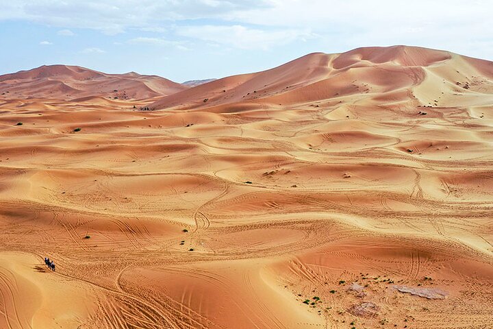 1 Night All inclusive Camel Ride & Desert Camp