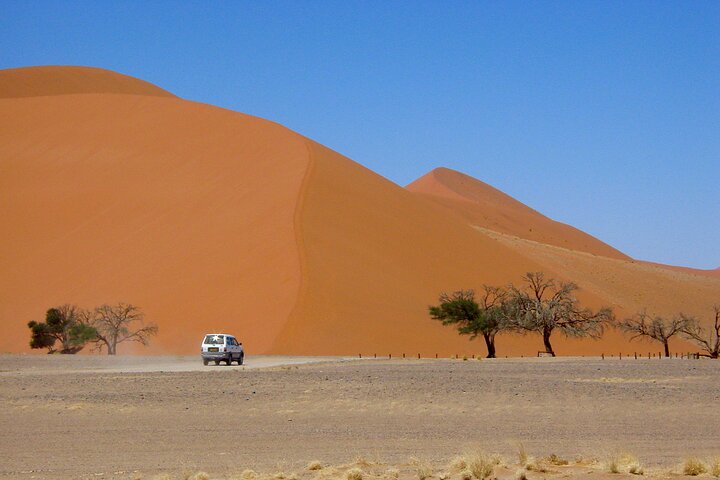 1 Night All inclusive Camel Ride & Desert Camp