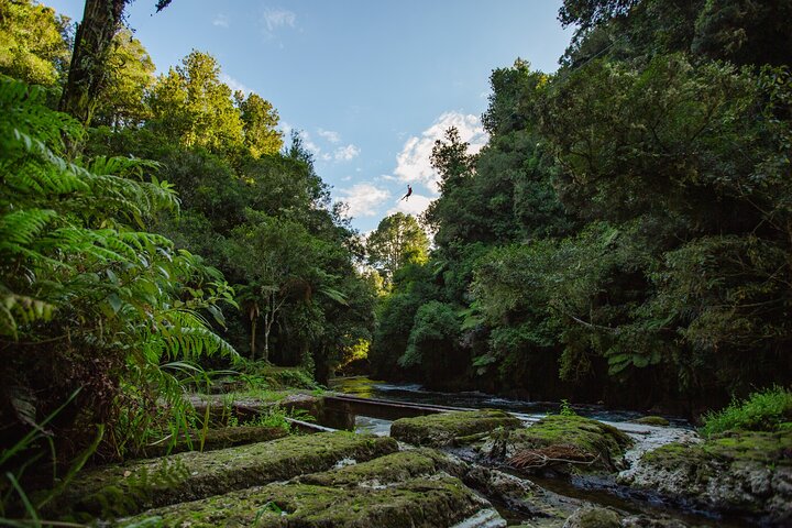 Rotorua Ziplines - Zipline Over Waterfalls - Free Sauna