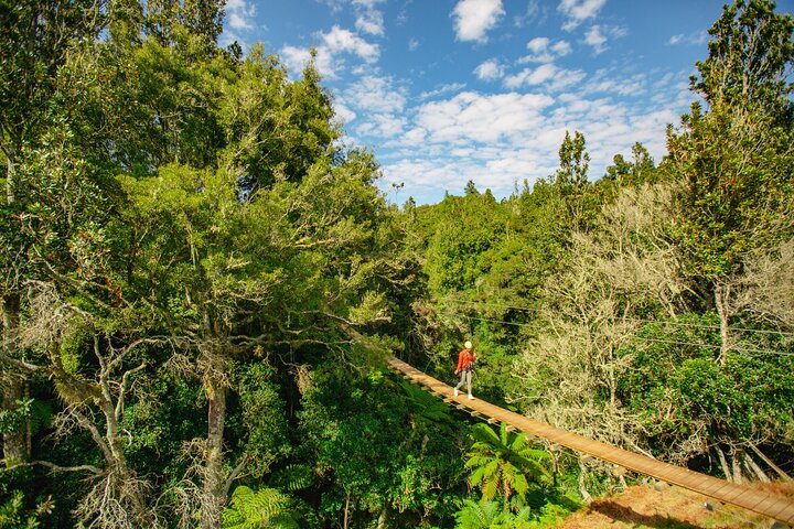 Rotorua Ziplines - Zipline Over Waterfalls - Free Sauna