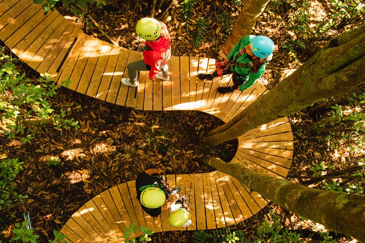 Rotorua Ziplines - Zipline Over Waterfalls - Free Sauna