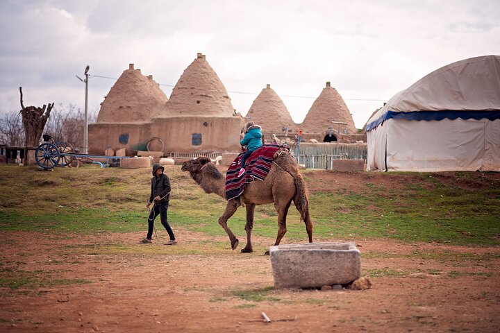 All-inclusive Private Guided 10-day Tour of Mesopotamia
