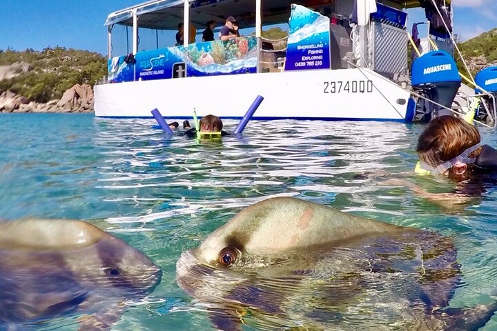Magnetic Island Discovery Tour with Snorkeling & Paddle Boarding