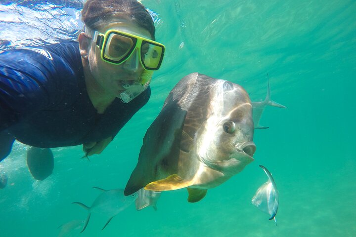 Magnetic Island Discovery Tour with Snorkeling & Paddle Boarding