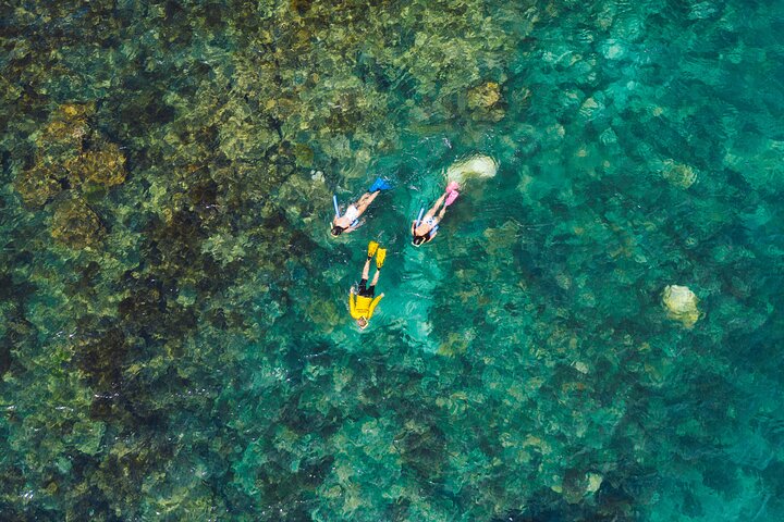 Magnetic Island Discovery Tour with Snorkeling & Paddle Boarding