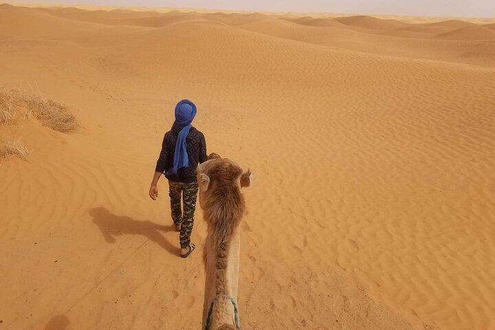 a day in Ksar Ghilane Star Wars Tours departing from Djerba
