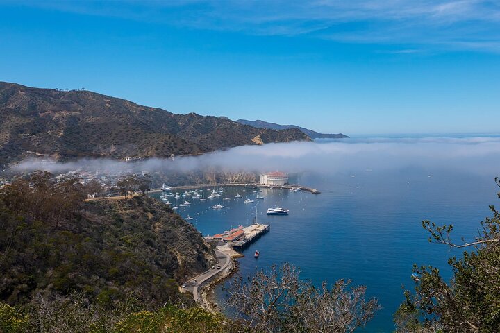 Catalina Island 2-Hour Inside Adventure Tour