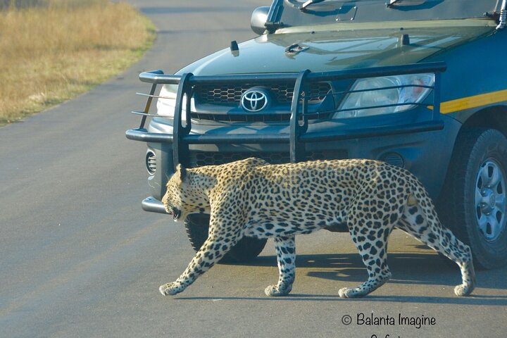 All inclusive 3 Day Kruger Safari From Nelspruit