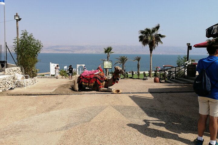 Travel to Bethlehem & Dead Sea Day Tour from Jerusalem