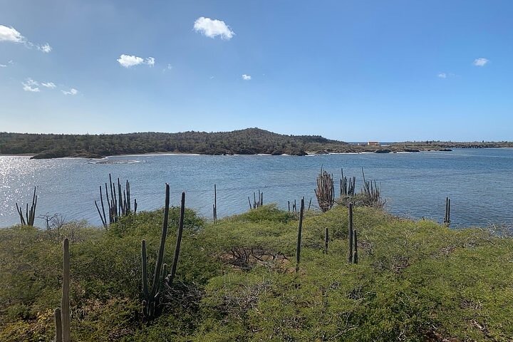 Washington Park Tour with Local Guide on Bonaire