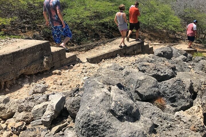 Washington Park Tour with Local Guide on Bonaire