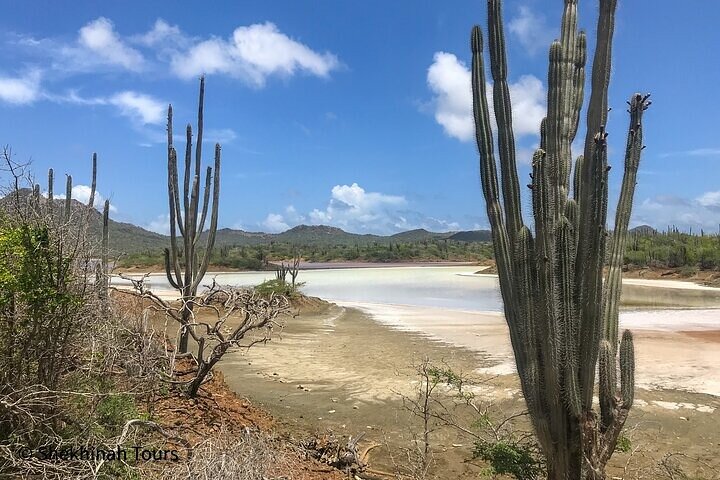 Washington Park Tour with Local Guide on Bonaire