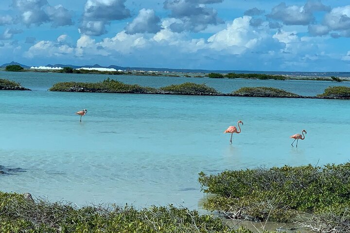 North and South Tour + Beach Time with a Local Native Guide