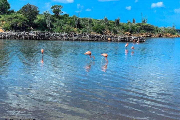 North and South Tour + Beach Time with a Local Native Guide