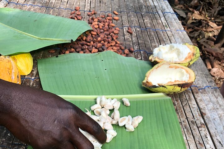 Waterfalls, Aburi Botanical Gardens & a Cocoa Farm Experience.