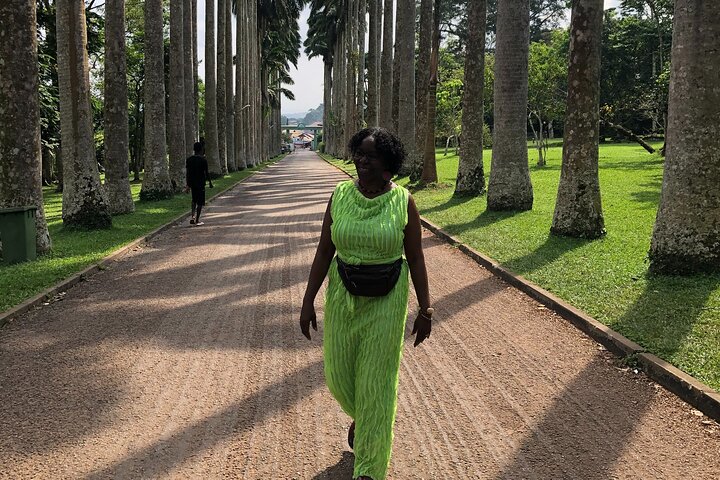 Waterfalls, Aburi Botanical Gardens & a Cocoa Farm Experience.