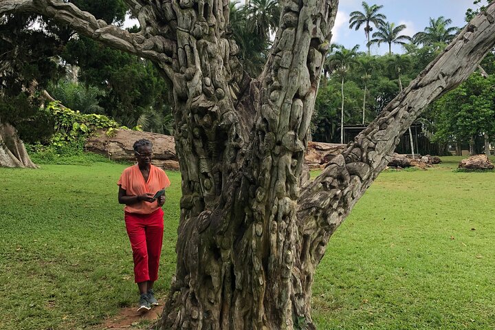 Waterfalls, Aburi Botanical Gardens & a Cocoa Farm Experience.