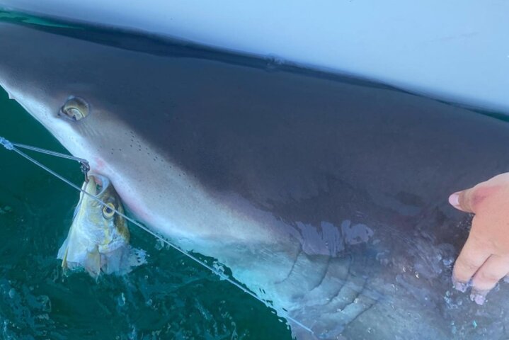 Private Offshore Fishing Charter from Port Aransas