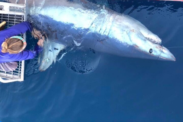 Private Offshore Fishing Charter from Port Aransas