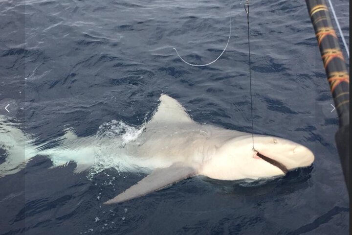 Private Offshore Fishing Charter from Port Aransas
