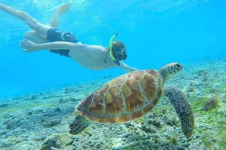 Bali Blue Lagoon Snorkeling with Lunch & Private Hotel Transfer