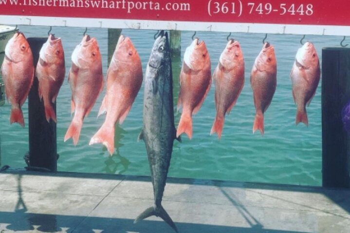 Private Offshore Fishing Charter from Port Aransas