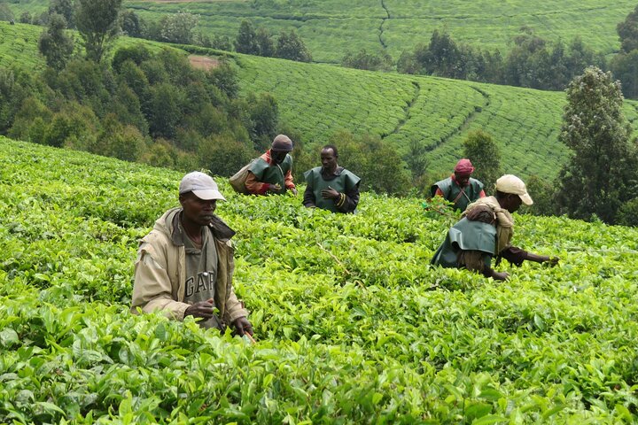 Private Tour of Bujumbura