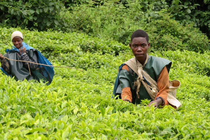 Private Tour of Bujumbura