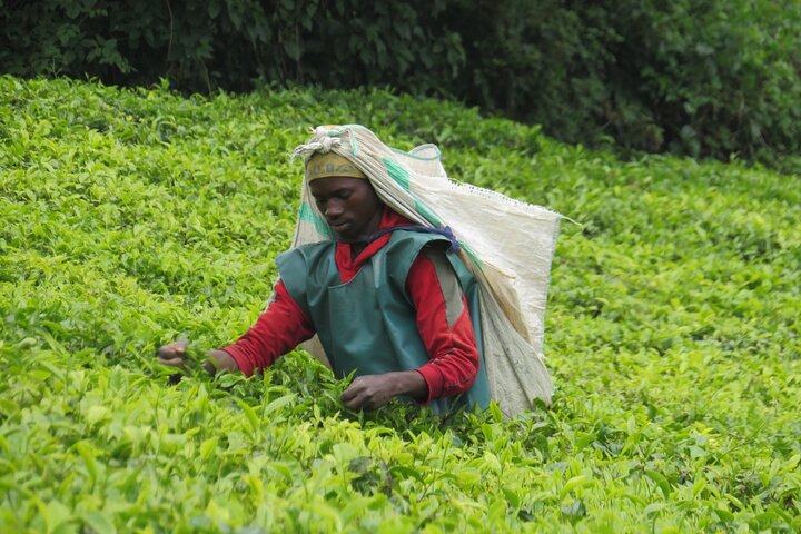 Private Tour of Bujumbura