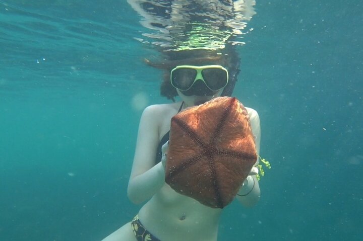 Bintan Snorkeling Tour