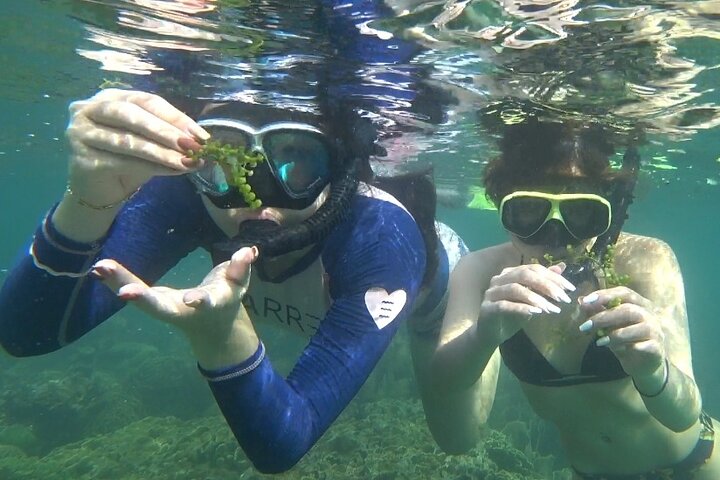 Bintan Snorkeling Tour