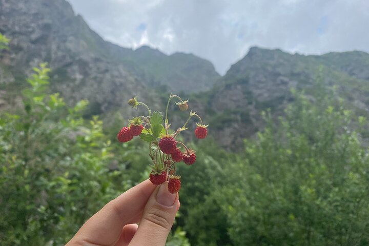 Kazbegi:Hiking to Gveleti Waterfall