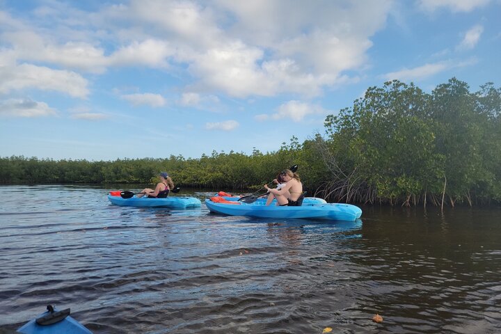 New Smyrna Dolphin and Manatee Kayak and SUP Adventure Tour