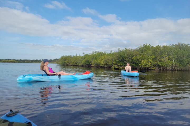 New Smyrna Dolphin and Manatee Kayak and SUP Adventure Tour