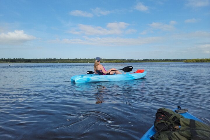 New Smyrna Dolphin and Manatee Kayak and SUP Adventure Tour