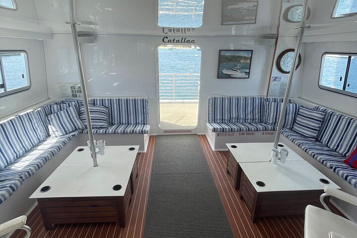 Luxury Whale Watching: Fewer People, Extra Speed, Expert Staff