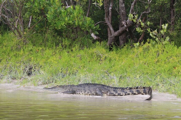 Kayak Experience in the Mangroves of Holbox Island