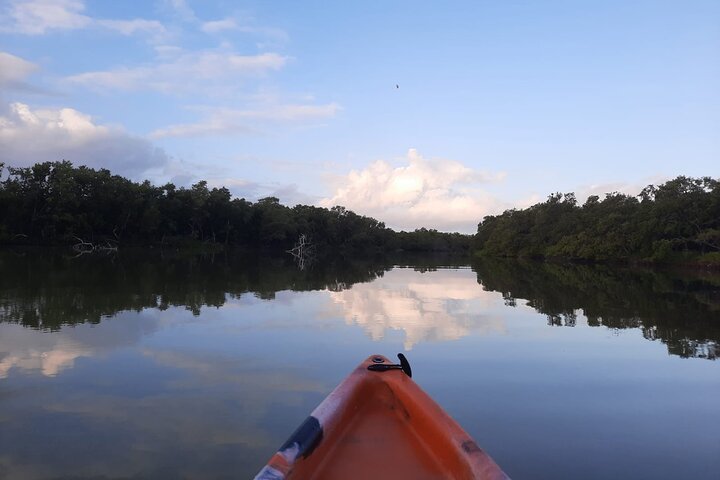 Kayak Experience in the Mangroves of Holbox Island