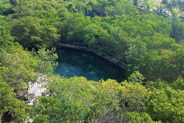 Boat Tour of Three Islands in Holbox with Transportation
