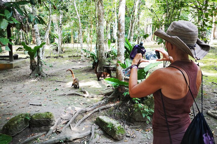 Tikal Full Day with Dedicated Exploration of the Archaeological Monuments.