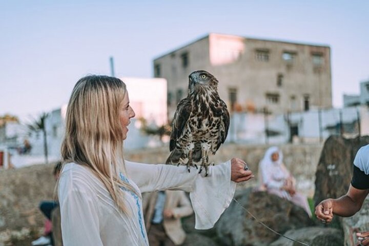 luxury 4 Hour Private Tour of Tangier