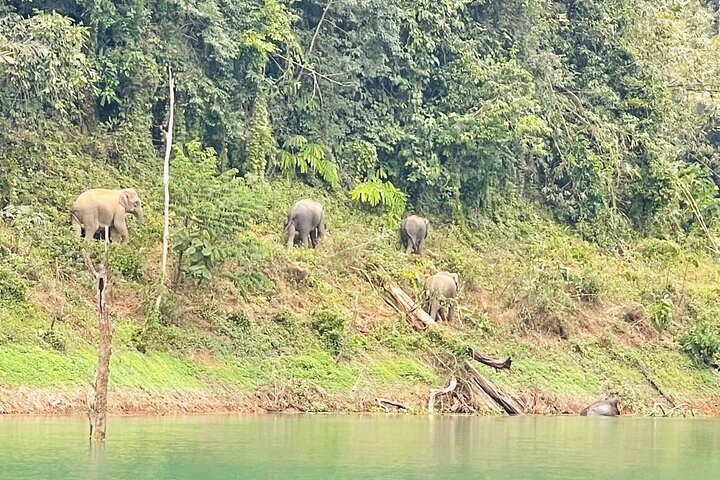 Amazing One Day Trip At Cheow Larn Lake From Khao Lak