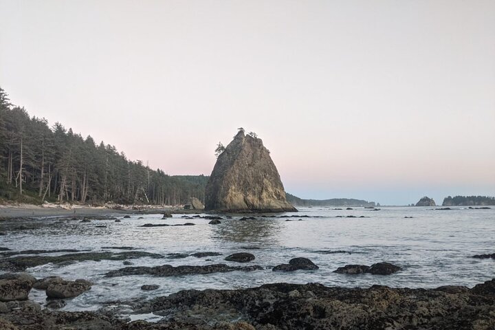 Private Day Hike- Rialto Beach Tide Pooling