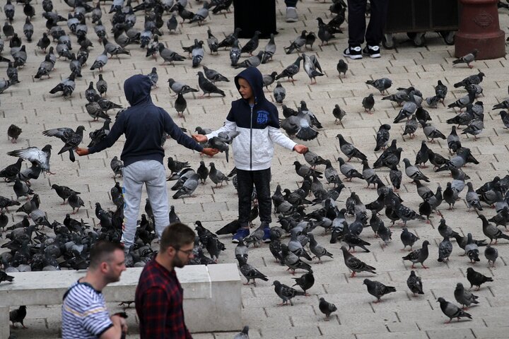 Best of Sarajevo - Ultimate Full-Day Experience