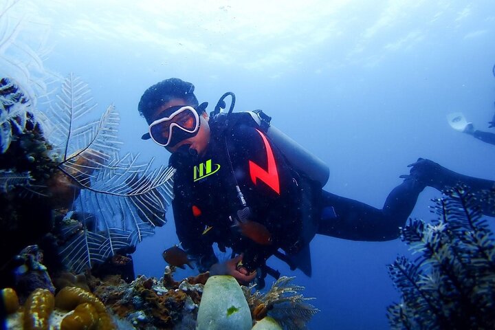 Bali Full Day Experience Scuba Diving Tour at Tulamben