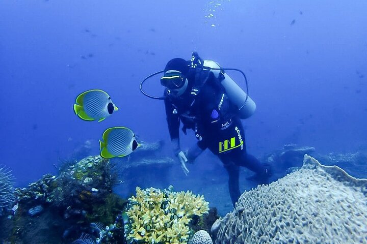 Bali Full Day Experience Scuba Diving Tour at Tulamben